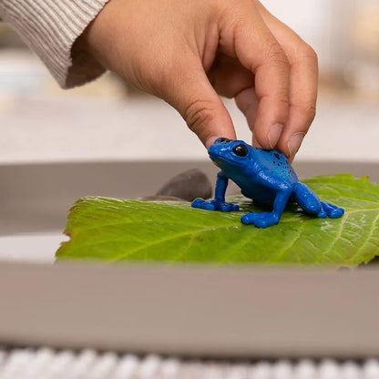 Schleich Blue Poison Dart Frog