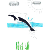 Colouring Competition 2022