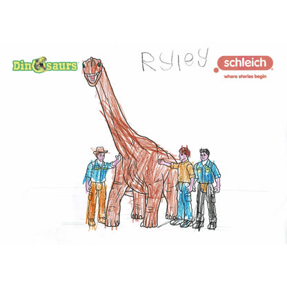 Colouring Competition 2022