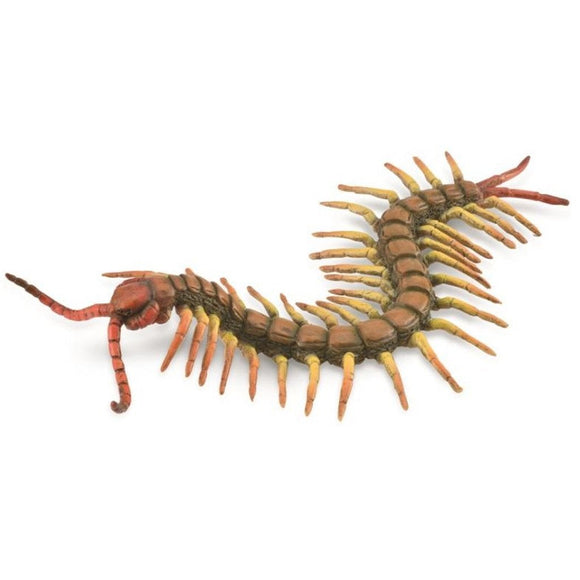CollectA Centipede-88885-Animal Kingdoms Toy Store