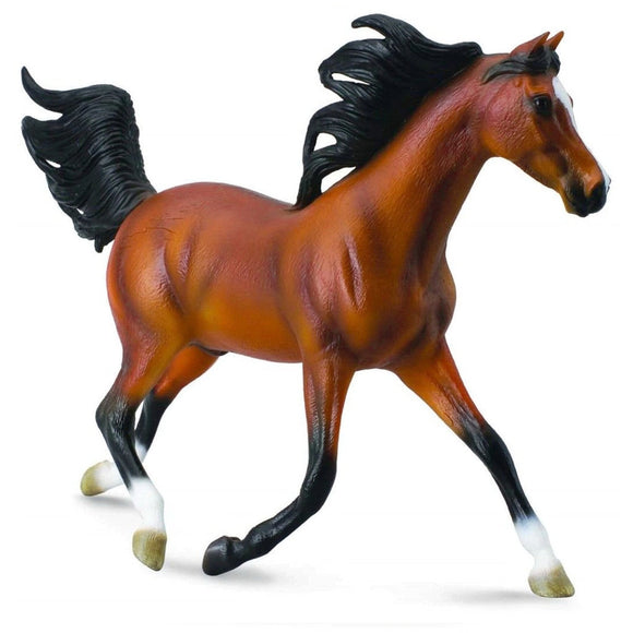 CollectA Arabian Stallion Bright Bay Deluxe 1:12 Scale-89460-Animal Kingdoms Toy Store