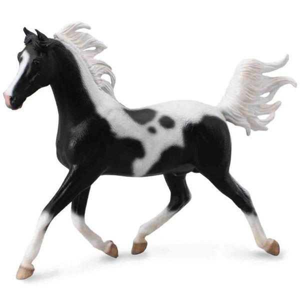 CollectA Arabian Stallion Pinto Deluxe 1:12 Scale-89462-Animal Kingdoms Toy Store