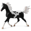 CollectA Arabian Stallion Pinto Deluxe 1:12 Scale-89462-Animal Kingdoms Toy Store