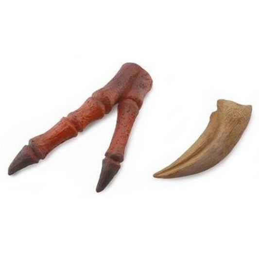 CollectA Claw & Hand of T-Rex-89289-Animal Kingdoms Toy Store