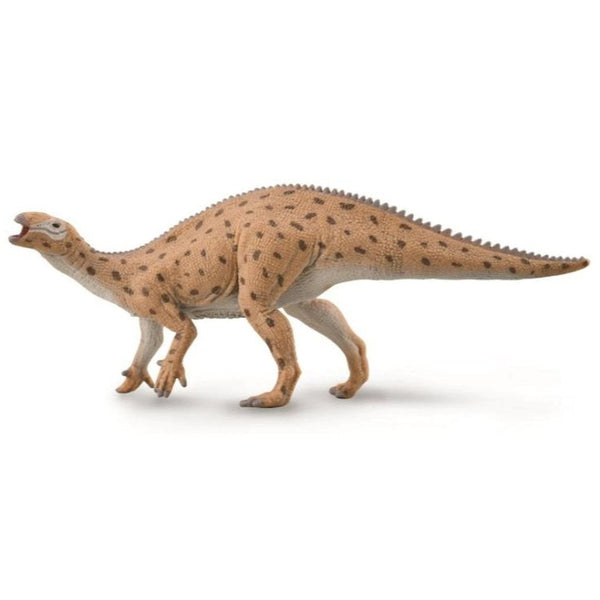 CollectA Fukuisaurus 1:40 Scale-88871-Animal Kingdoms Toy Store