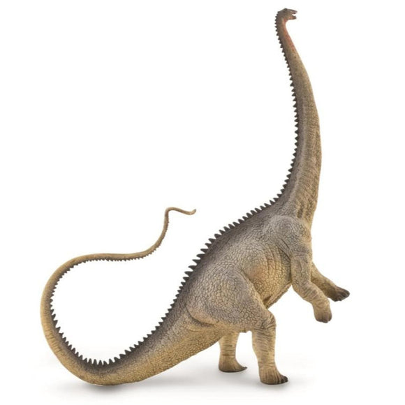 CollectA Diplodocus Grey-88896-Animal Kingdoms Toy Store
