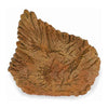 CollectA Dorsal Plate of Stegosaurus-89286-Animal Kingdoms Toy Store