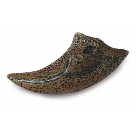 CollectA First Toe of T-Rex-89280-Animal Kingdoms Toy Store