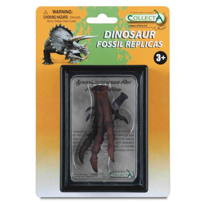 CollectA Foot Replica of T-Rex-89284-Animal Kingdoms Toy Store