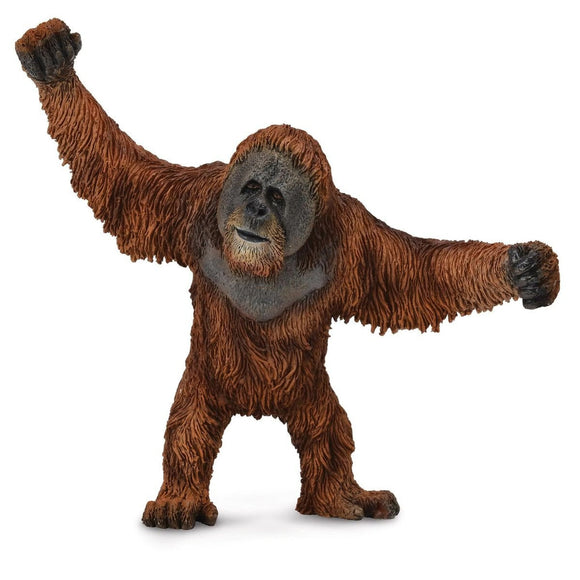 CollectA Orangutan-88730-Animal Kingdoms Toy Store