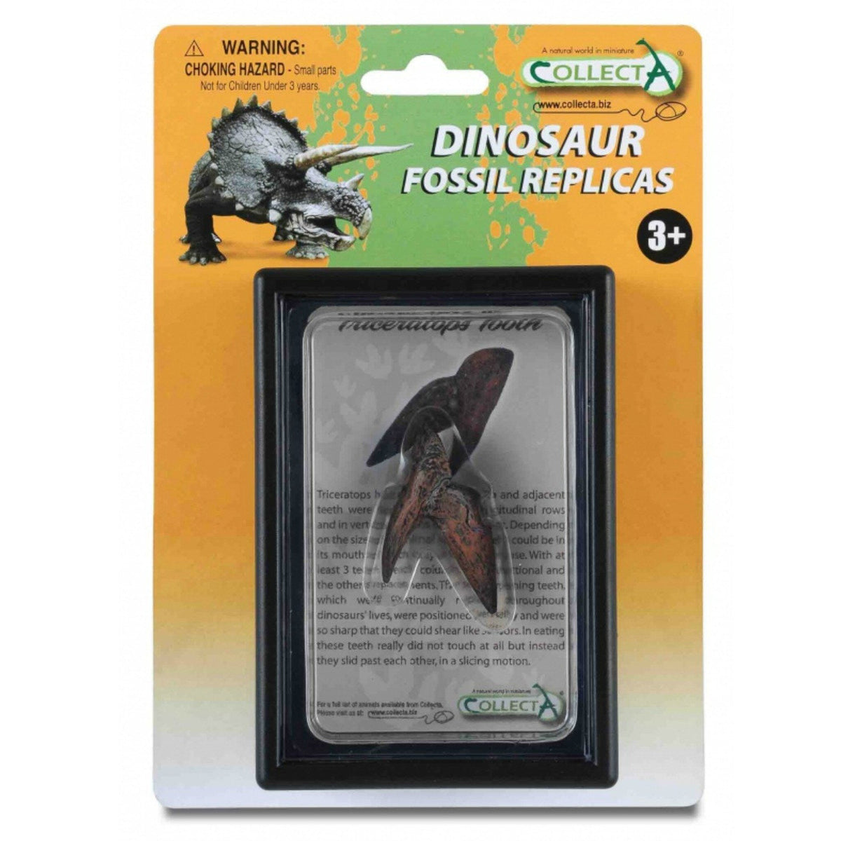CollectA Tooth of Triceratops-89283-Animal Kingdoms Toy Store