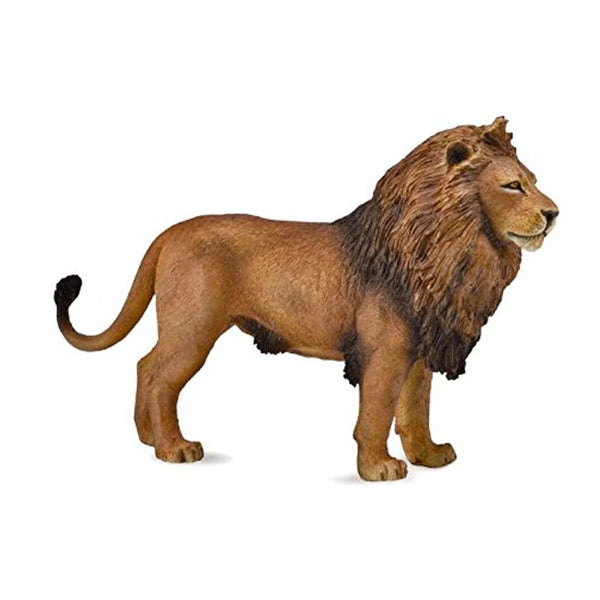 CollectA African Lion