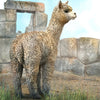CollectA Alpaca