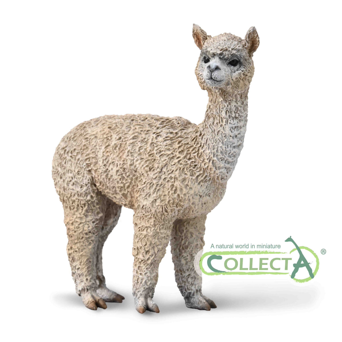 CollectA Alpaca
