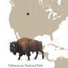CollectA American Bison