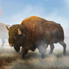 CollectA American Bison