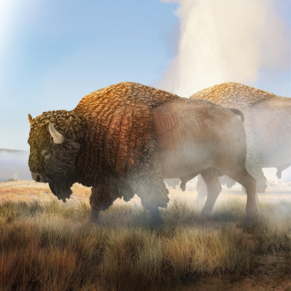 CollectA American Bison