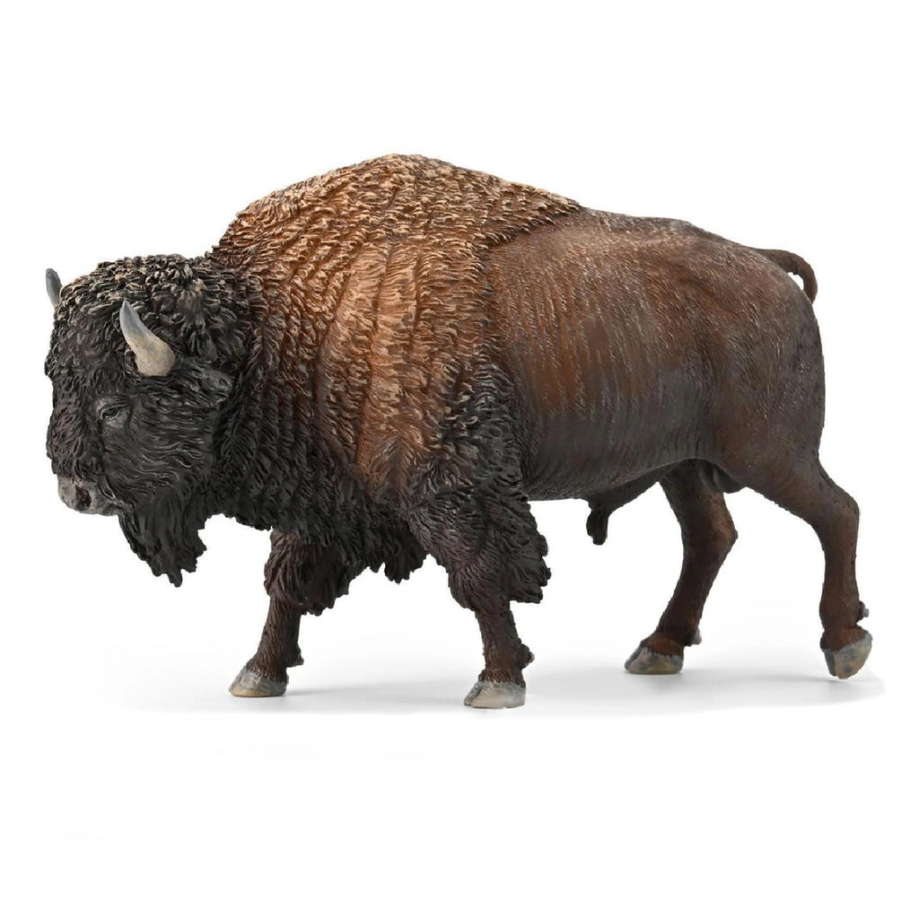 Collecta Store CollectA American Bison – Animal Kingdoms Toy Store