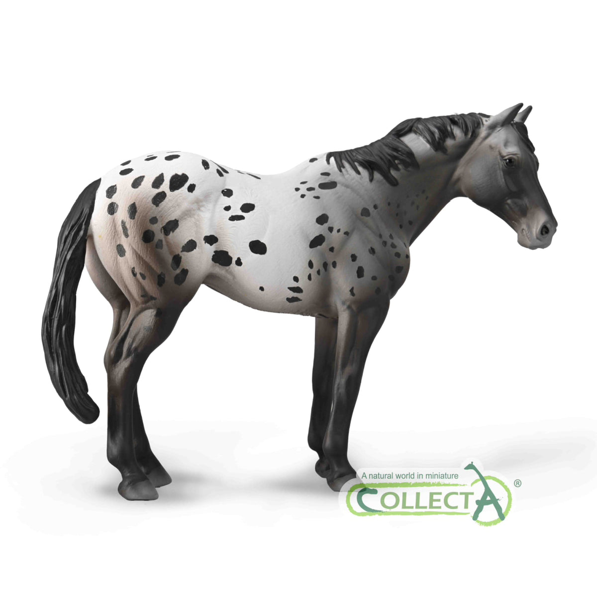 CollectA Appaloosa Blue Roan