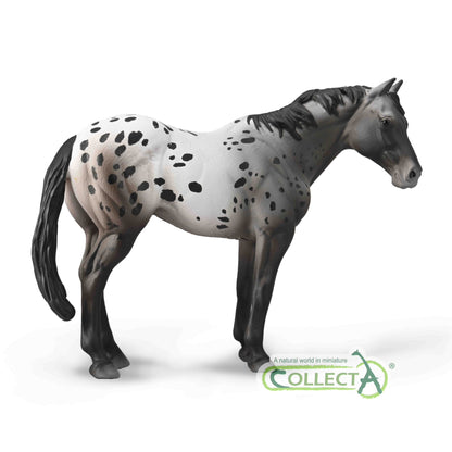 CollectA Appaloosa Blue Roan