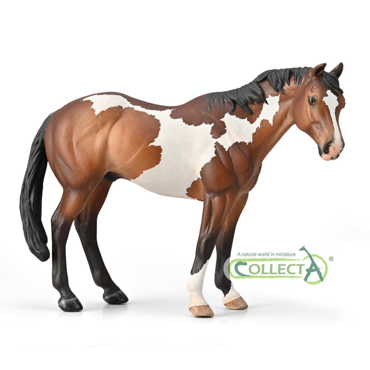 CollectA Appaloosa Stallion Bay Overo Paint