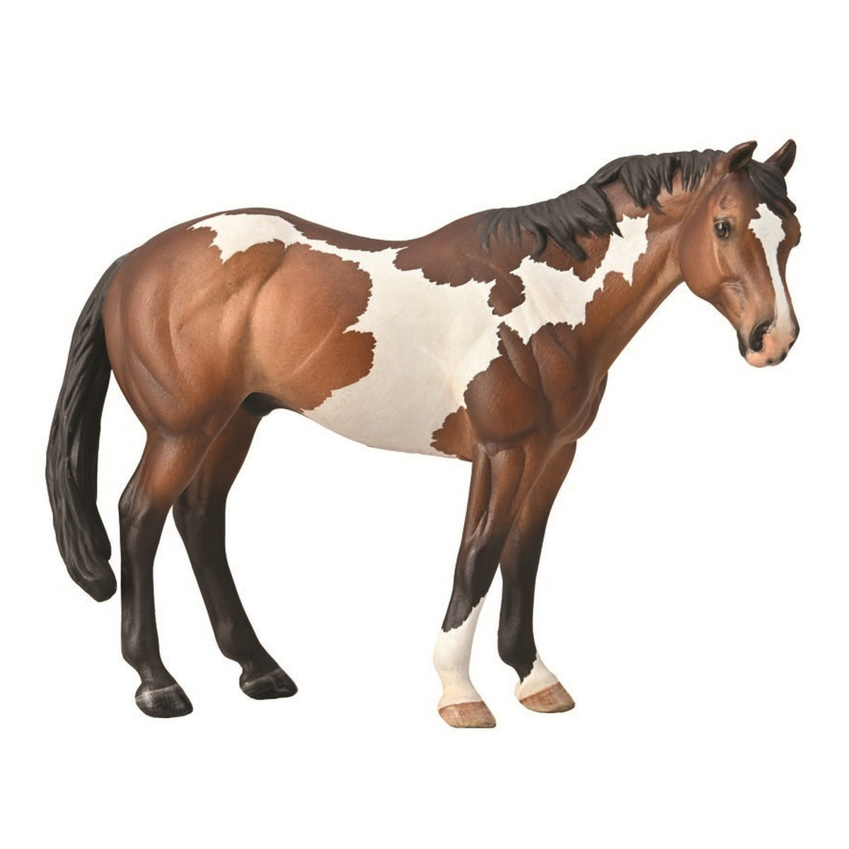 CollectA Appaloosa Stallion Bay Overo Paint