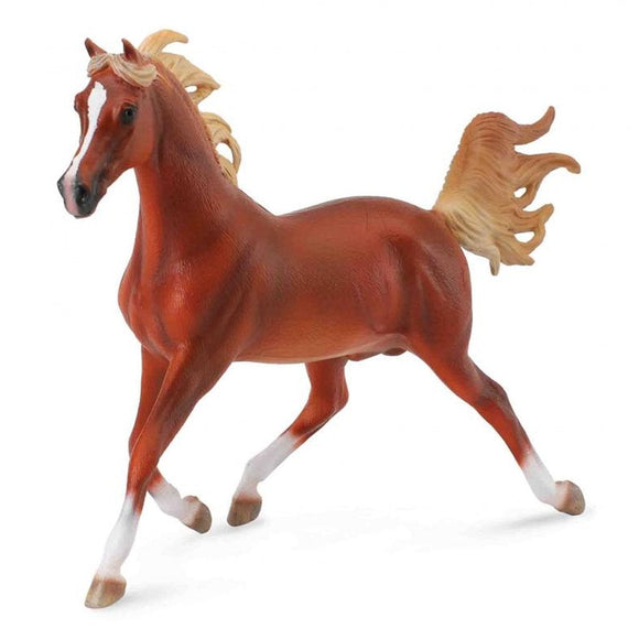 CollectA Arabian Stallion Deluxe 1:12 Scale-88538-Animal Kingdoms Toy Store