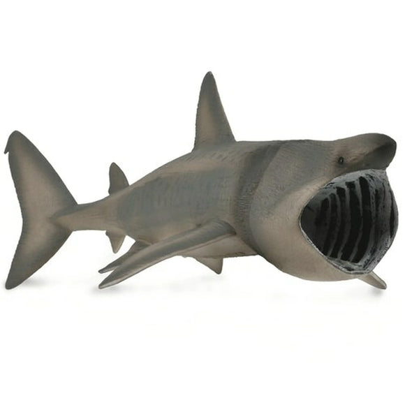 CollectA Basking Shark-88914-Animal Kingdoms Toy Store