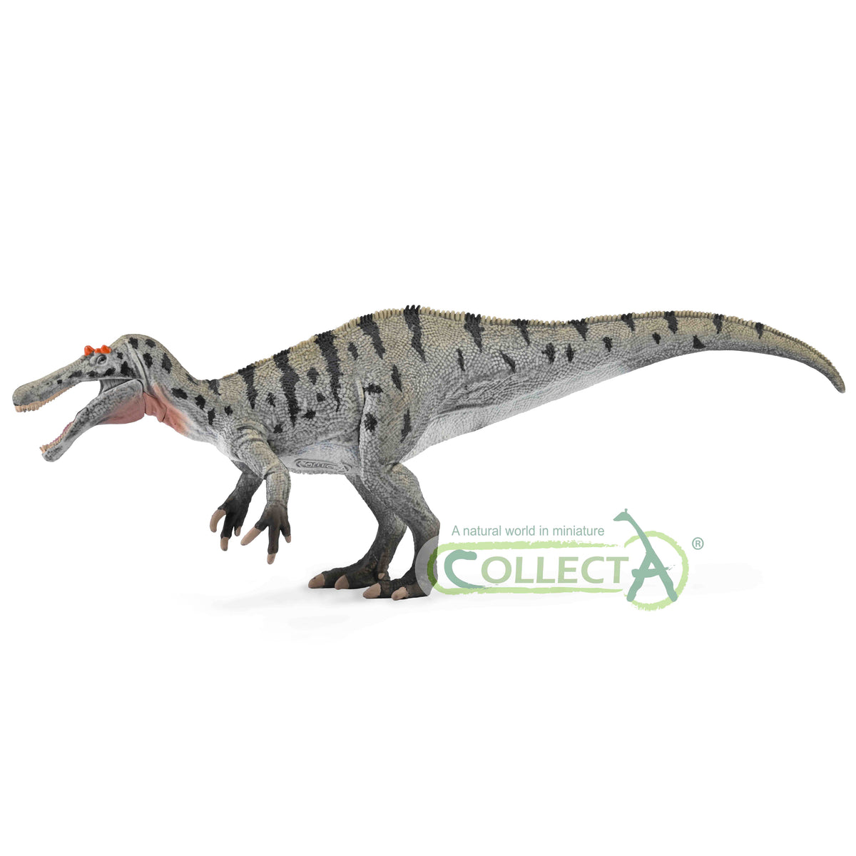 CollectA Ceratosuchops