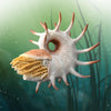 CollectA Cooperoceras
