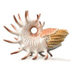 CollectA Prehistoric Marine Creatures - 8 piece set