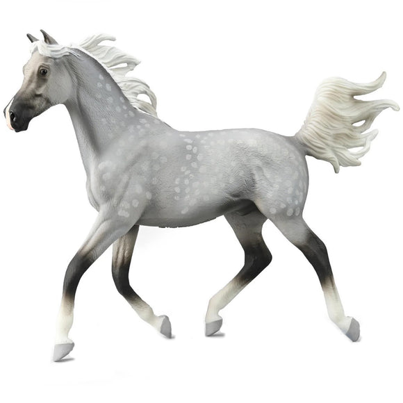 CollectA Half Arabian Stallion Dappled Grey Deluxe 1:12 Scale