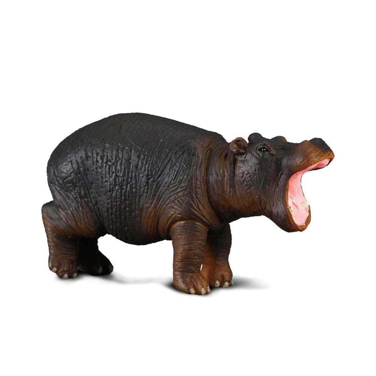 CollectA Hippopotamus Calf – Animal Kingdoms Toy Store