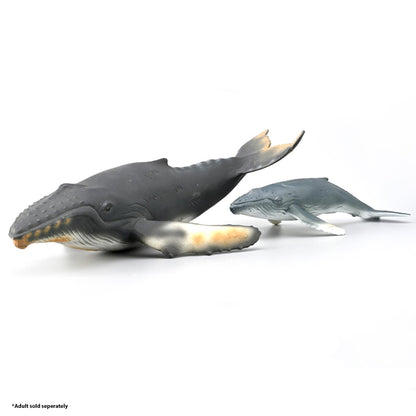 CollectA Humpback Whale Calf