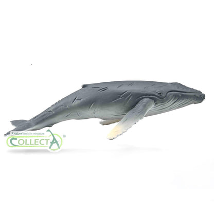 CollectA Humpback Whale Calf