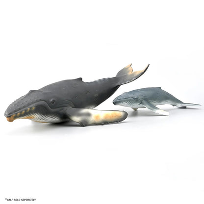 CollectA Humpback Whale