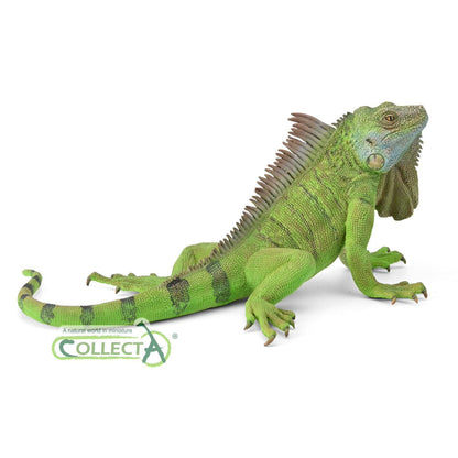 CollectA Iguana
