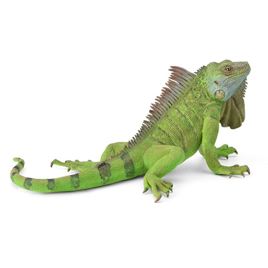CollectA Iguana