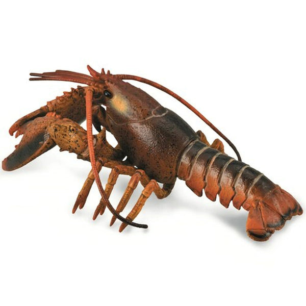 CollectA Lobster-88920-Animal Kingdoms Toy Store
