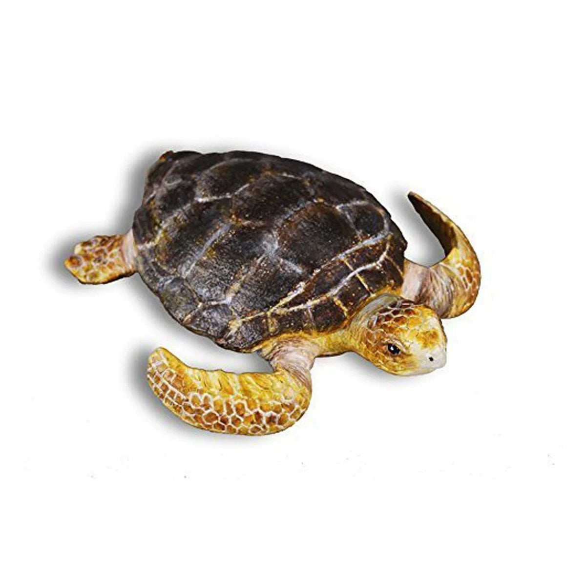 CollectA Loggerhead Turtle – Animal Kingdoms Toy Store