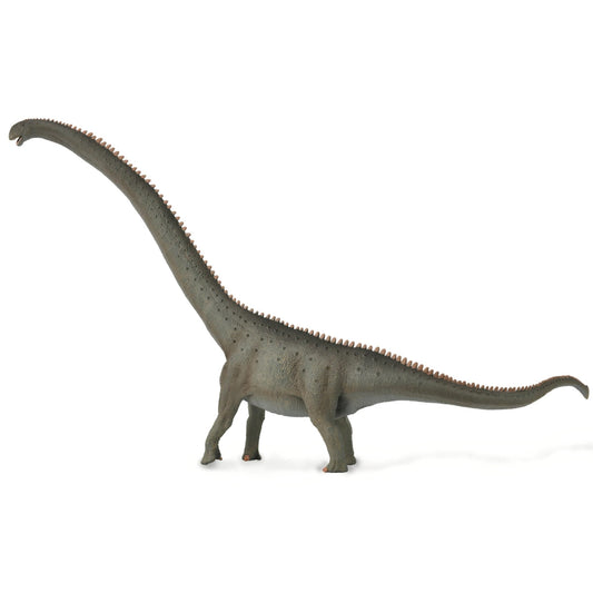 CollectA Mamenchisaurus 1:100 Scale-88901-Animal Kingdoms Toy Store