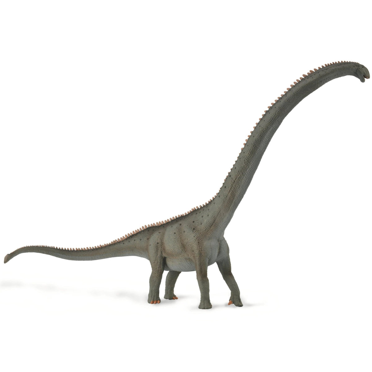 CollectA Mamenchisaurus 1:100 Scale-88901-Animal Kingdoms Toy Store