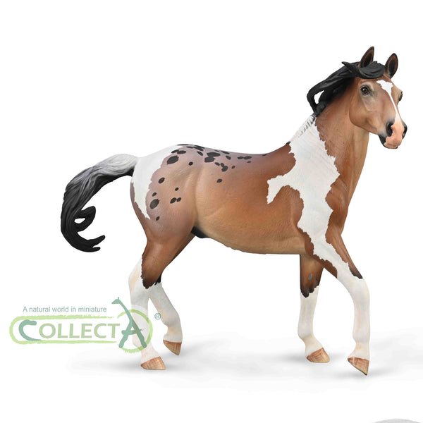 CollectA Mustang Stallion - Bay Pintoloosa – Animal Kingdoms Toy Store