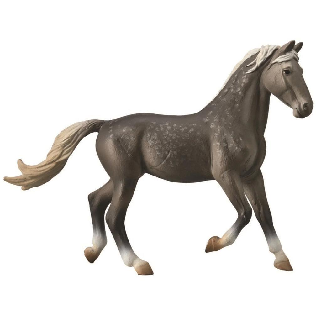 Collecta Store CollectA Horses – 8 Piece Set – Animal Kingdoms Toy Store