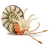 CollectA Pleuroceras Ammonite-88902-Animal Kingdoms Toy Store