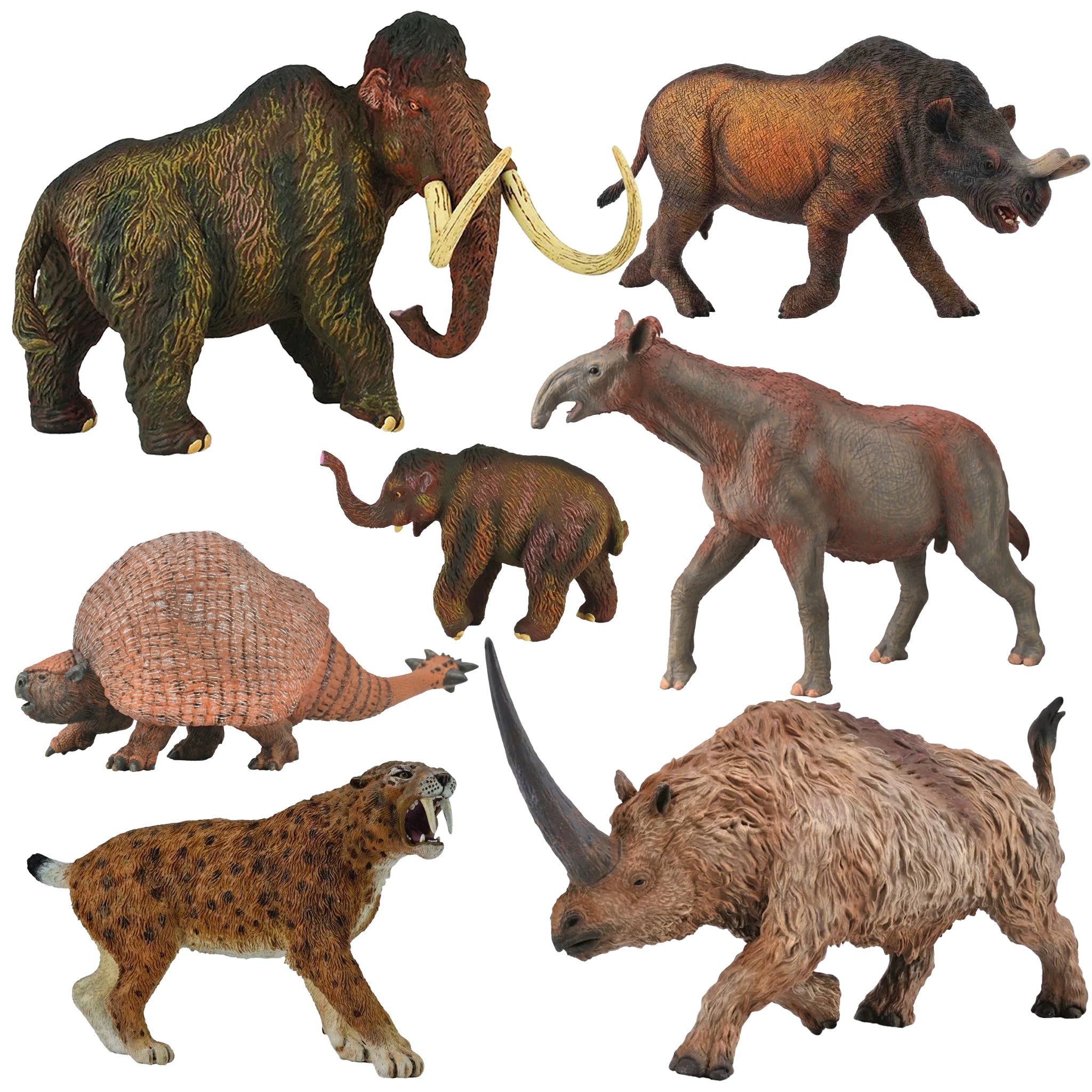 Collecta Rabbit CollectA Prehistoric Beasts - 7 piece set – Animal Kingdoms Toy Store