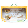 CollectA Prehistoric Sea Creatures Gift Set A 4pc-84172-Animal Kingdoms Toy Store