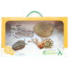 CollectA Prehistoric Sea Creatures Gift Set B 4pc-84173-Animal Kingdoms Toy Store