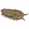 CollectA Prehistoric Sea Creatures Gift Set B 4pc-84173-Animal Kingdoms Toy Store