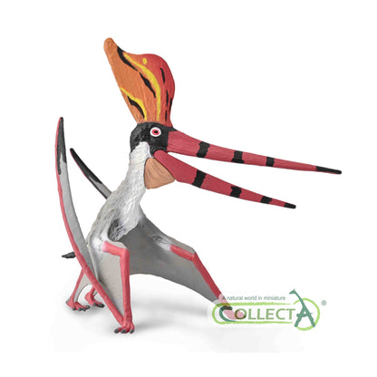 CollectA Pteranodon Sternbergi Deluxe with Moveable Jaw